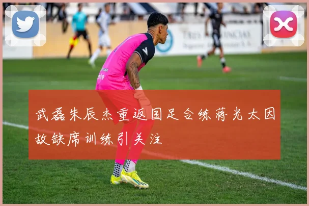 武磊朱辰杰重返国足合练蒋光太因故缺席训练引关注